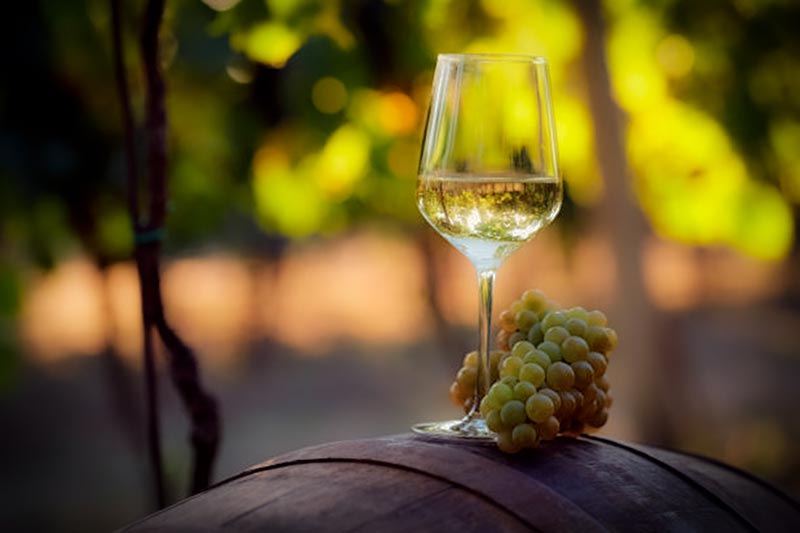 Hauseigener Wein vom Bertollhof