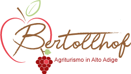 Logo Maso Bertollhof